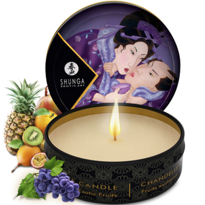 Shunga - Frutas Exóticas da Gueixa Secreta