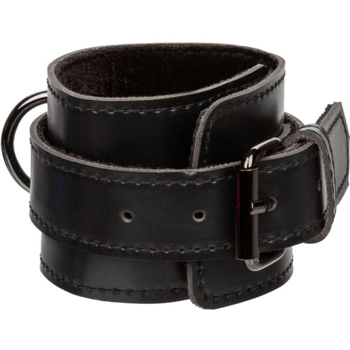 Calexotics - Euphoria Porco