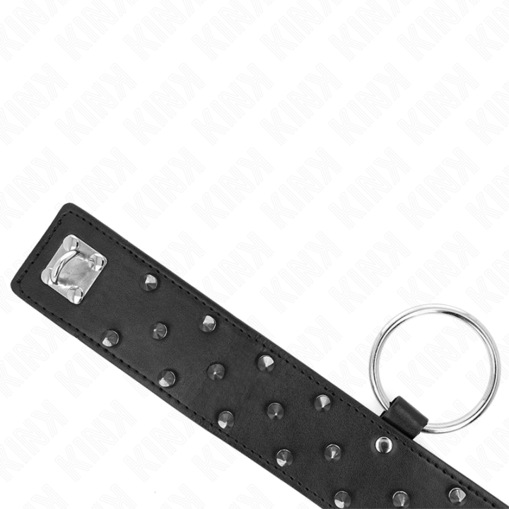 Kink - Collier Avec Laisse 65 cm Avec Clous Argentés Modèle 5 Réglable 36-43 cm x 5 cm