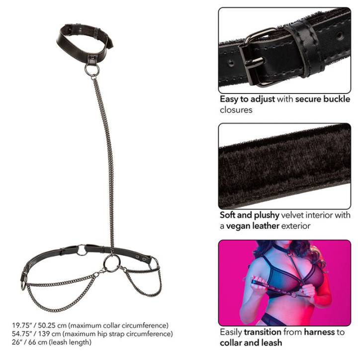 Calexotics - Euphoria Chain Halter Coleira e Trela Tamanho Grande