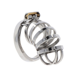 Hidden Desire - Extreme Cage de Chasteté en Métal