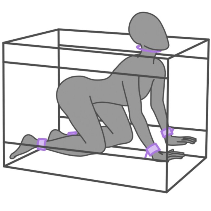Secret Dome - Kink Club la Niche Cabina Morado