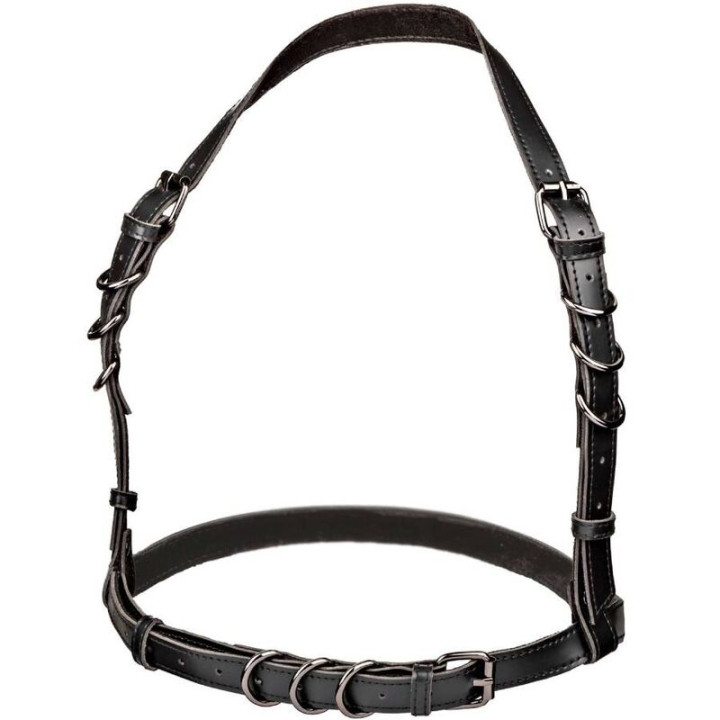 Calexotics - Euphoria Harnais Boucle Licol Noir