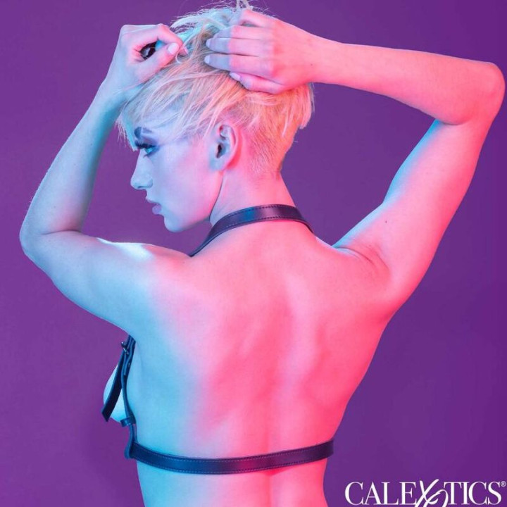 Calexotics - Euphoria Harnais Boucle Licol Noir