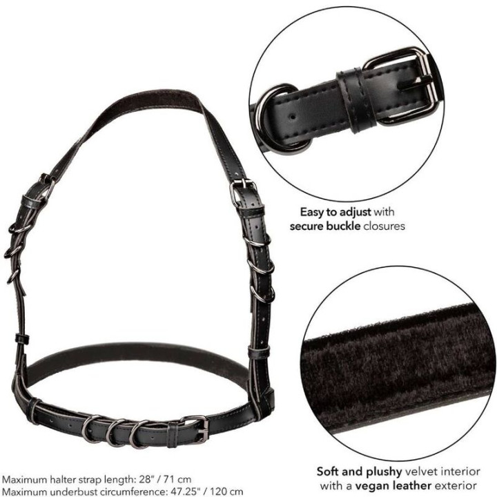 Calexotics - Euphoria Imbracatura Con Fibbia Plus Taglia Nera
