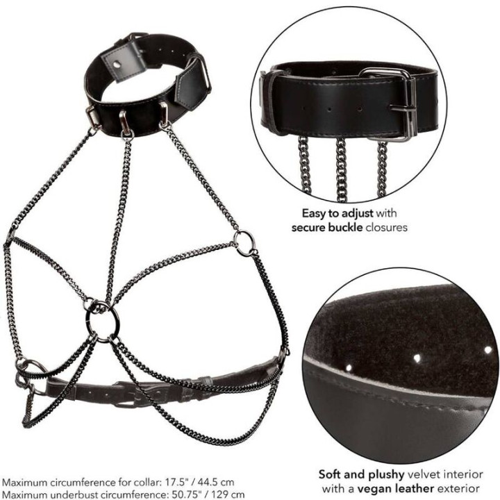 Calexotics - Euphoria Plus Size Multi Chain Collar Harness