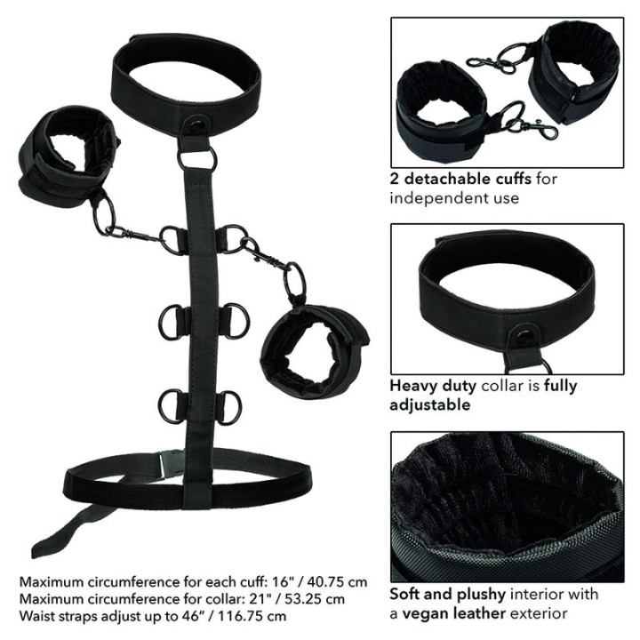 Calexotics - Boundless Collier de Retenue