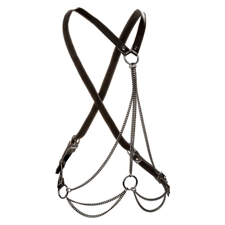Calexotics - Euphoria Multichain Harness Premium Übergrösse