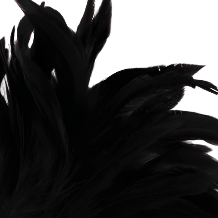 Darkness - Caneta Estimulante Black Lux